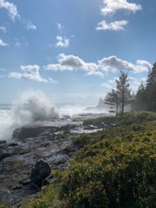 Maine island coastline after a storm